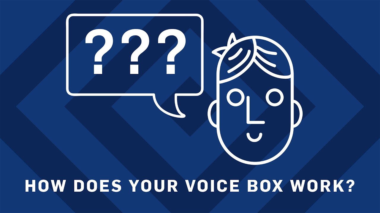 How Does Your Voicebox Work? | Earth Science