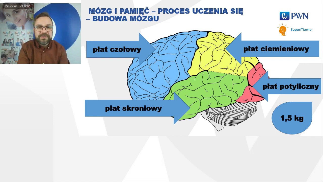 Metoda SuperMemo w edukacji online - webinarium dla nauczycieli język&oacute;w obcych