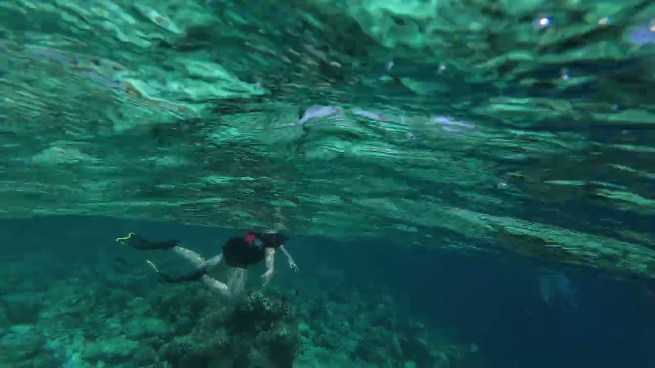 Excursión Snorkel 7 - Maldivas - 16/1/26 - Oblu Select Sangeli
