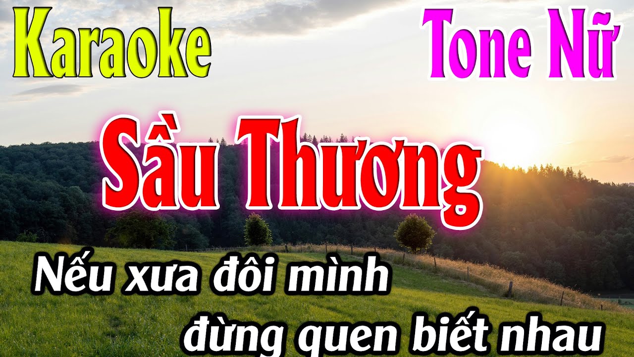 Sầu Thương Karaoke Tone Nữ ( Em ) Beat Mới | Karaoke Lâm Organ