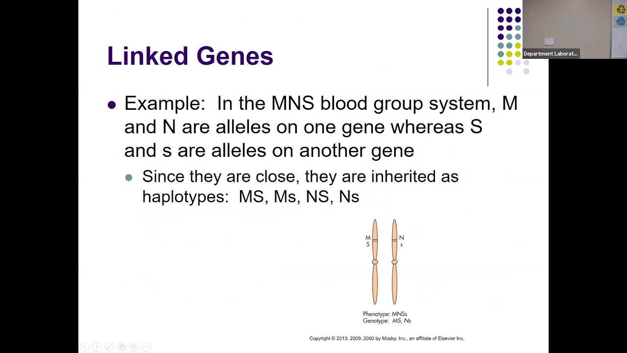 BloodBank Lecture 3 2020