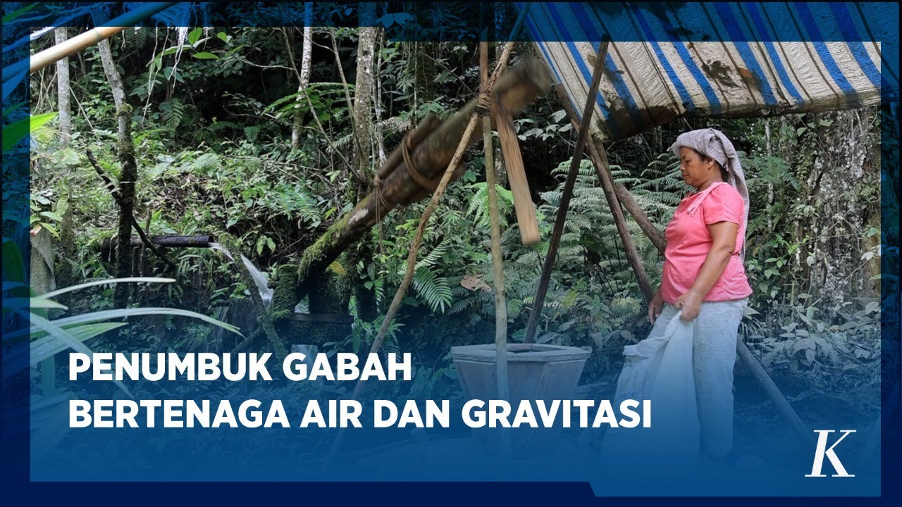 Tak Perlu BBM, Warga Pasir Nauli Pakai Lusung Silosok Penumbuk Gabah