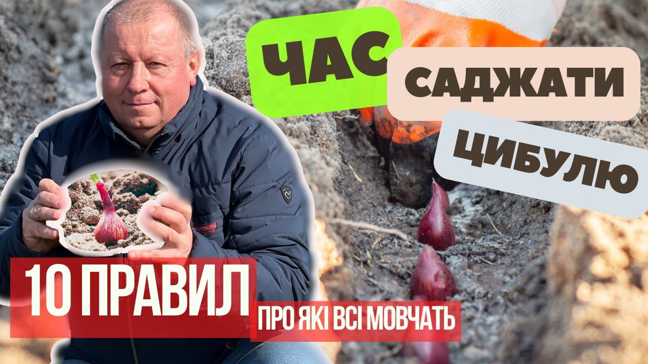 Не Висаджуй Цибулю, поки Не Дізнаєшься цих 10 Правил