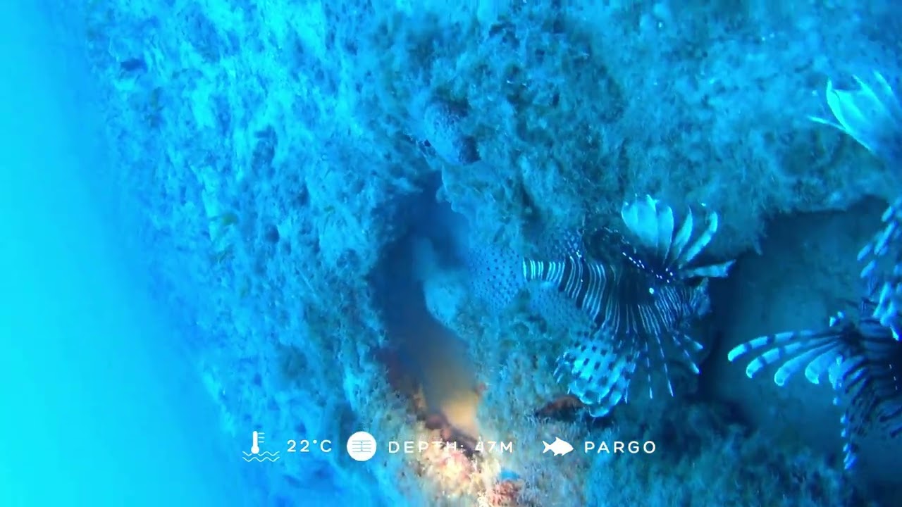 STELIOS YIANGOU | Spearfishing PRO Cyprus | Deep Dives, Ep.2, 47M, PARGO 2kg