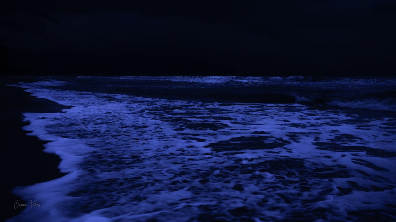 No Ads Ocean Waves to Help You Sleep Comfortably 💤 Calming Sleep Music + Stress, Relieving Insomnia