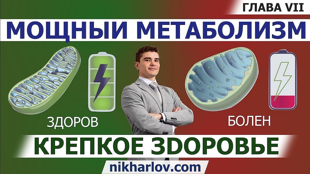Как дышат митохондрии. Электрон-транспортная система. Синтез АТФ, окислительное фосфорилирование.
