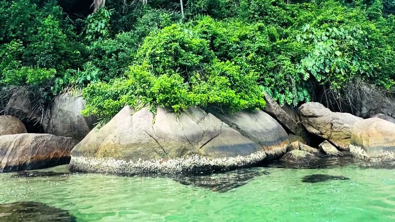 Ilha da Pescaria Paraty