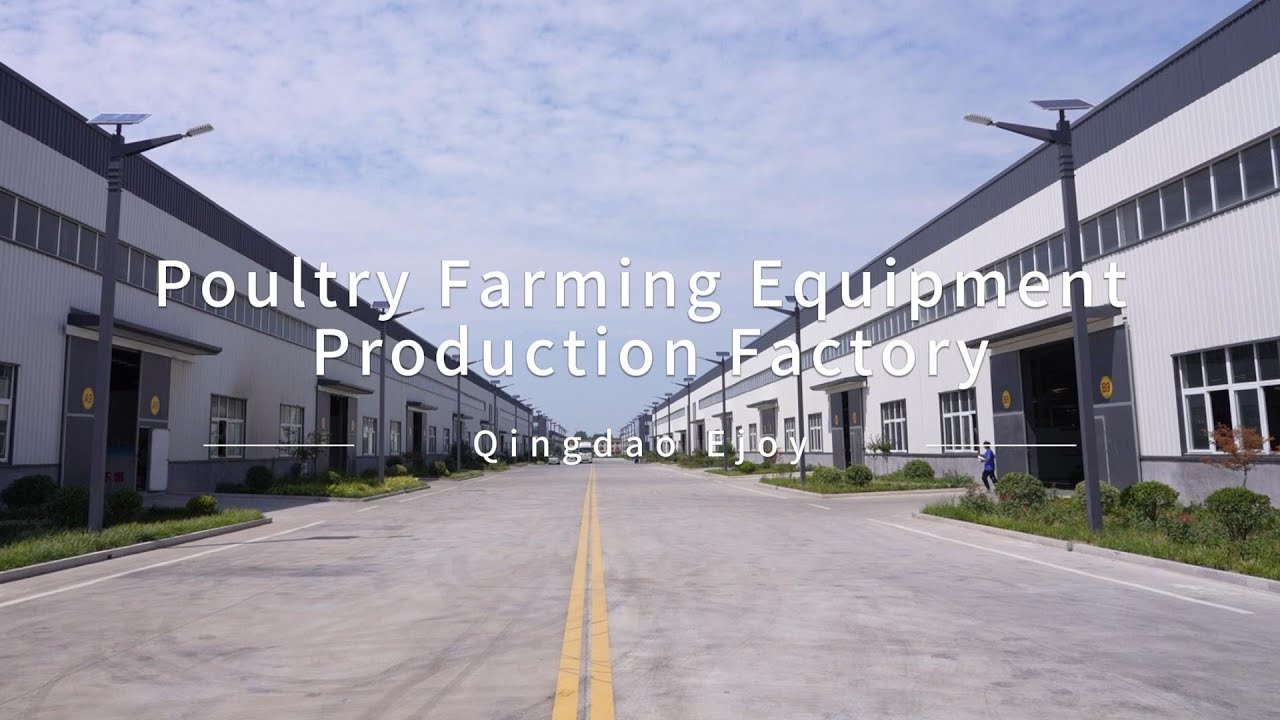 Ejoy Poultry Farming Equipment Manufacturing Factory