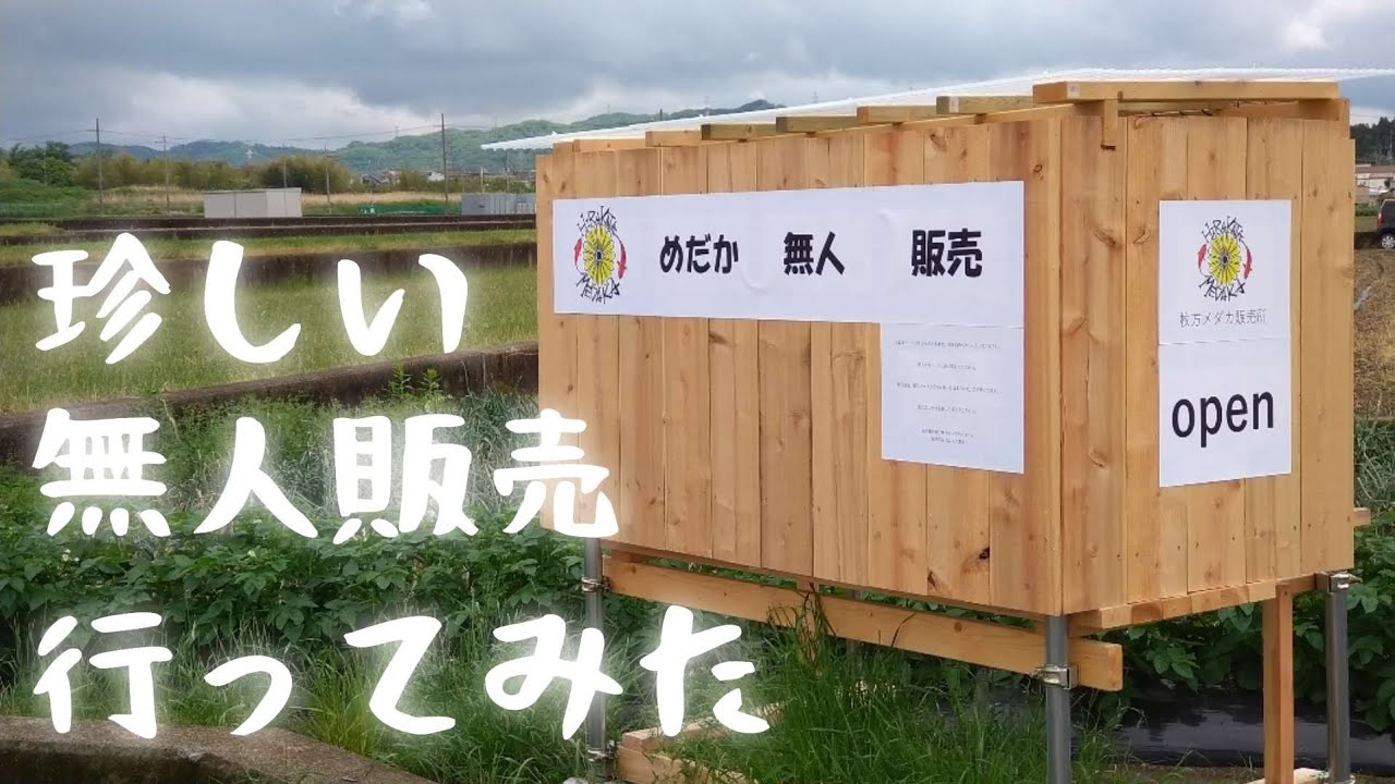【メダカ】トレンド無人販売！