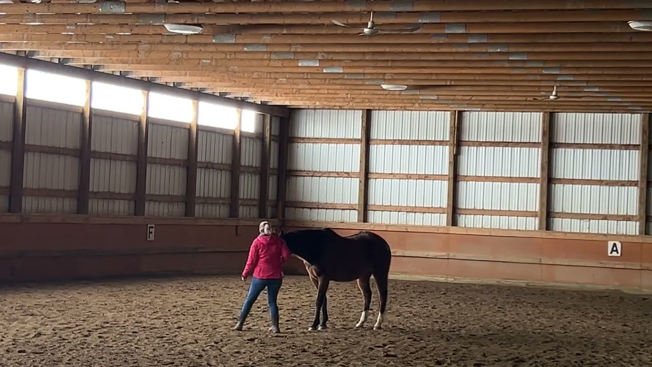 Spyro Training Session Mar 5