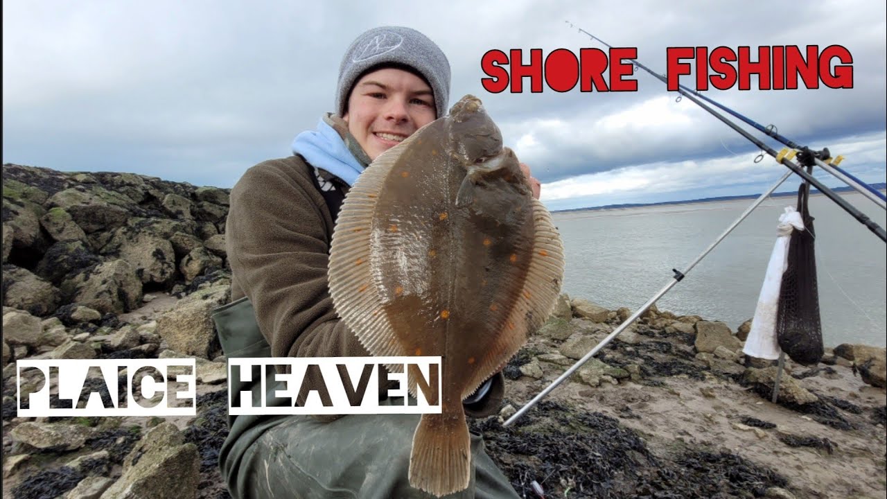 Shore fishing - Plaice heaven with @Masterfisherman Mostyn docks
