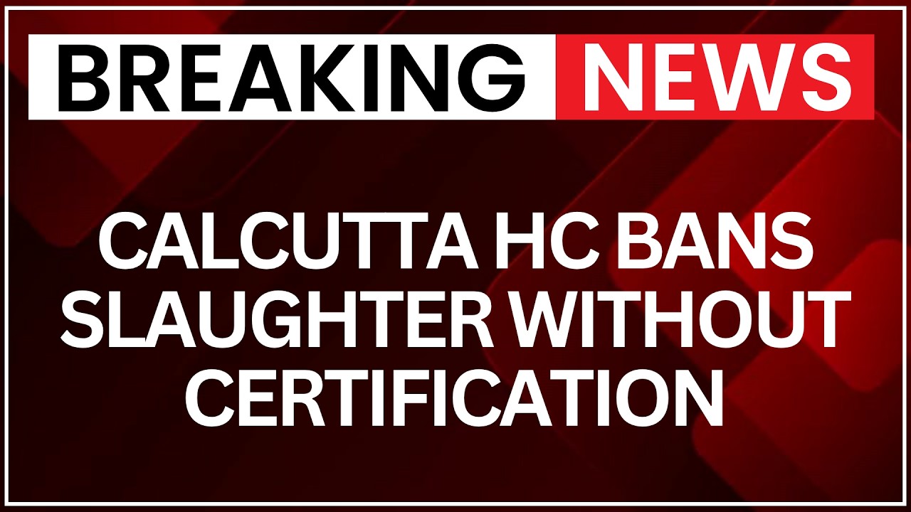 Calcutta HC Upholds Bakrid Slaughter Rules, Rejects Stay Plea | NewsX