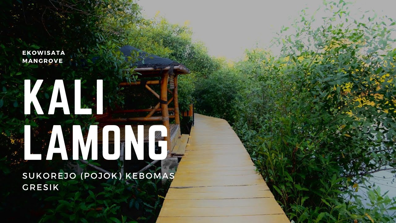Ekowisata Mangrove Kali Lamong | Sukorejo, Kebomas - Gresik