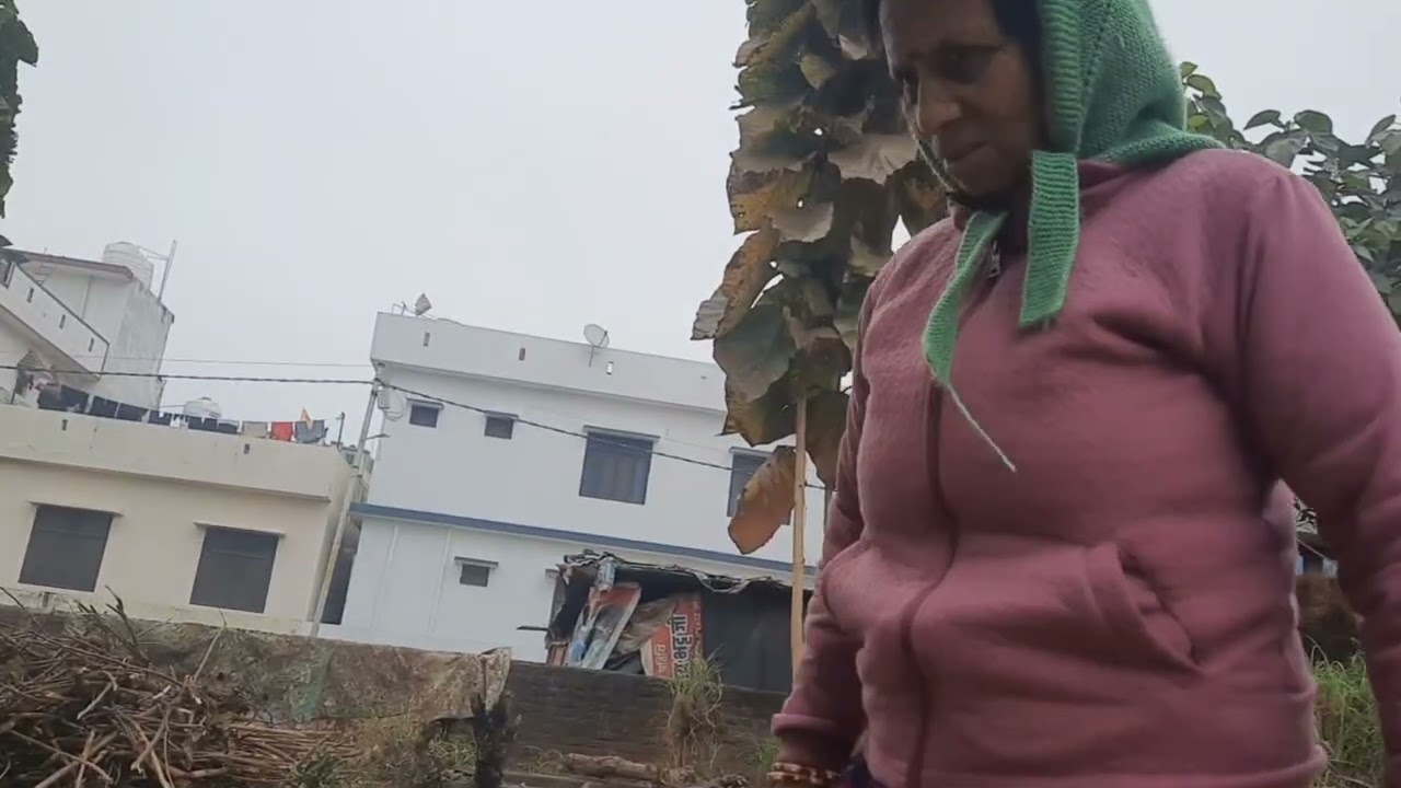 Ye konsa kutta le aye ye ....!