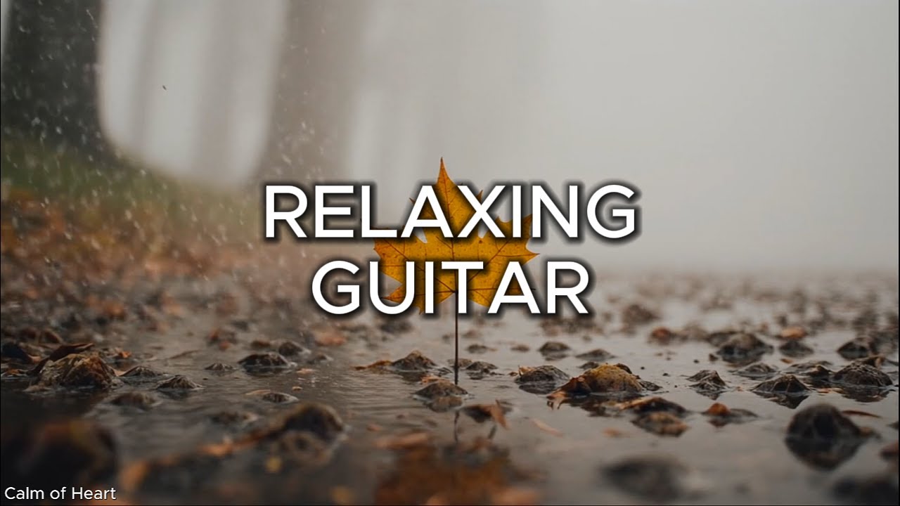 Relaxing Guitar Music to Release Stress, Meditation & Study