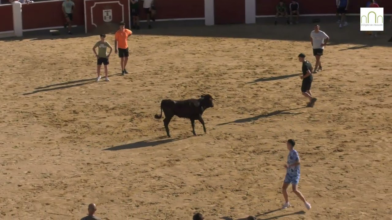 Vaquillas Feria de Albacete 2025, 11 de septiembre