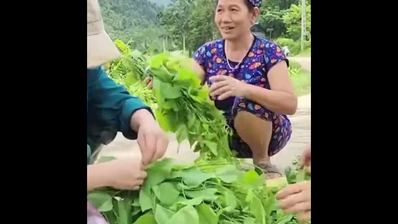 Full Video: Single Mother Builds a Bamboo House | Daily Life & Survival Story