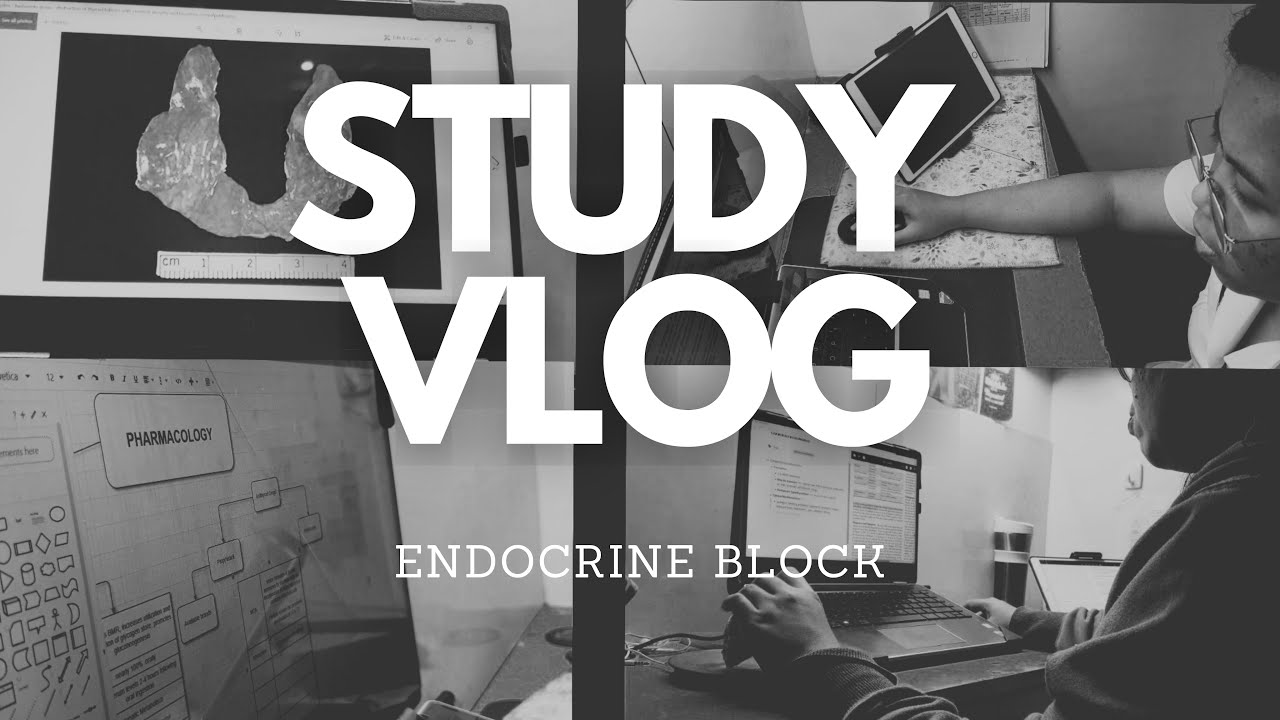 A Week in the Life of a Medical Student (sgds, tbls, clinics)