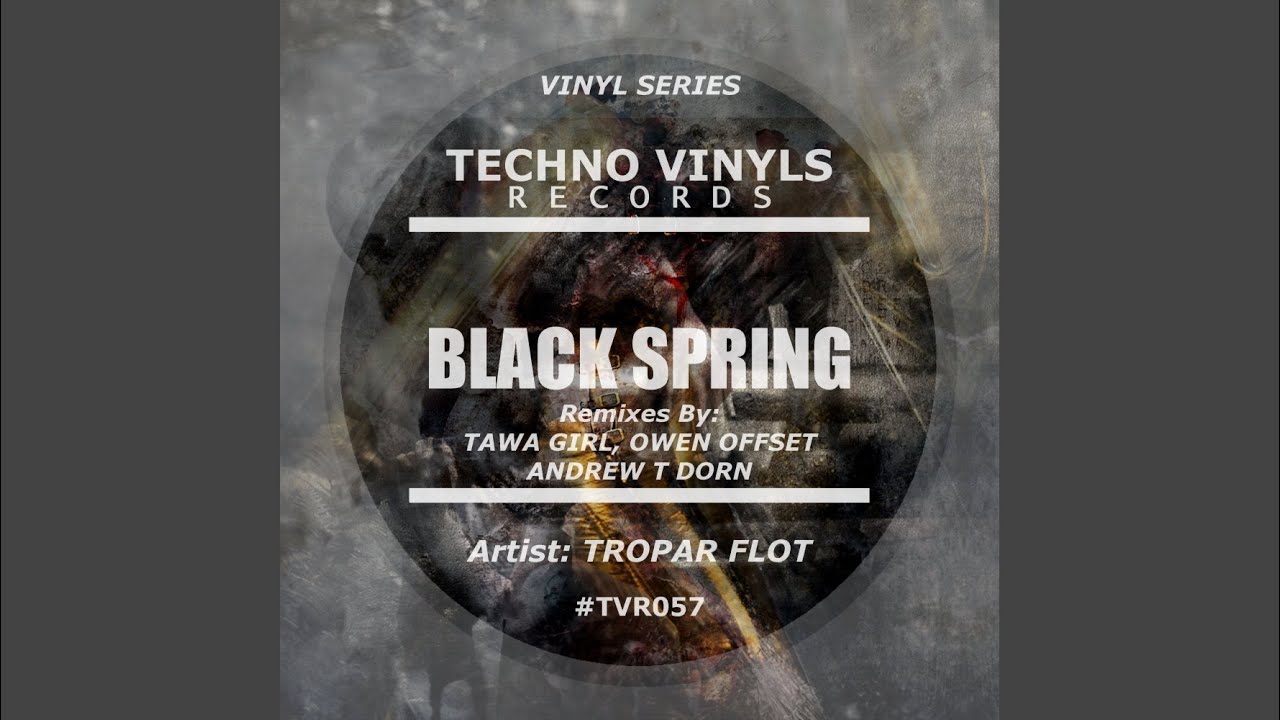 Black Spring (Original Mix)