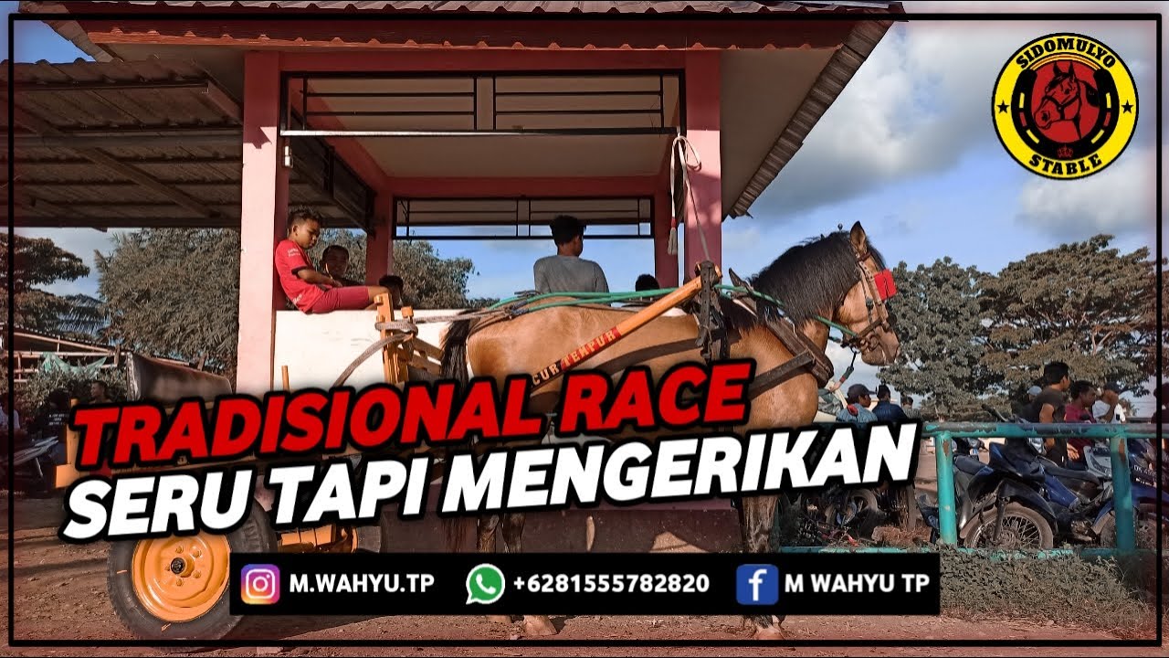 BALAP CIDOMO KHAS LOMBOK TIMUR [Video Part I]
