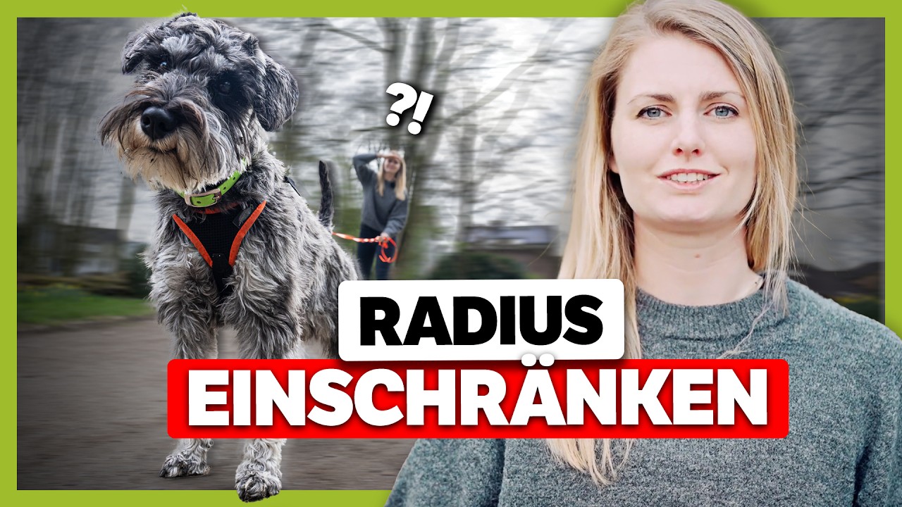 Radiustraining: So bleibt dein Hund in deiner N&auml;he
