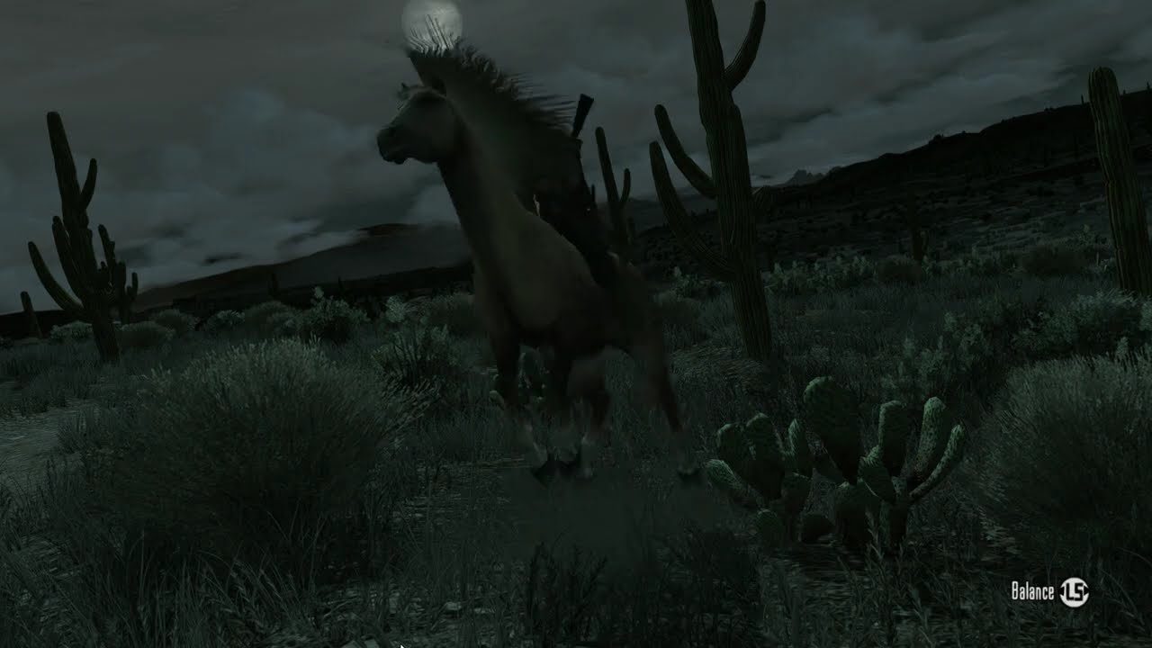Wild Horses Tamed passions