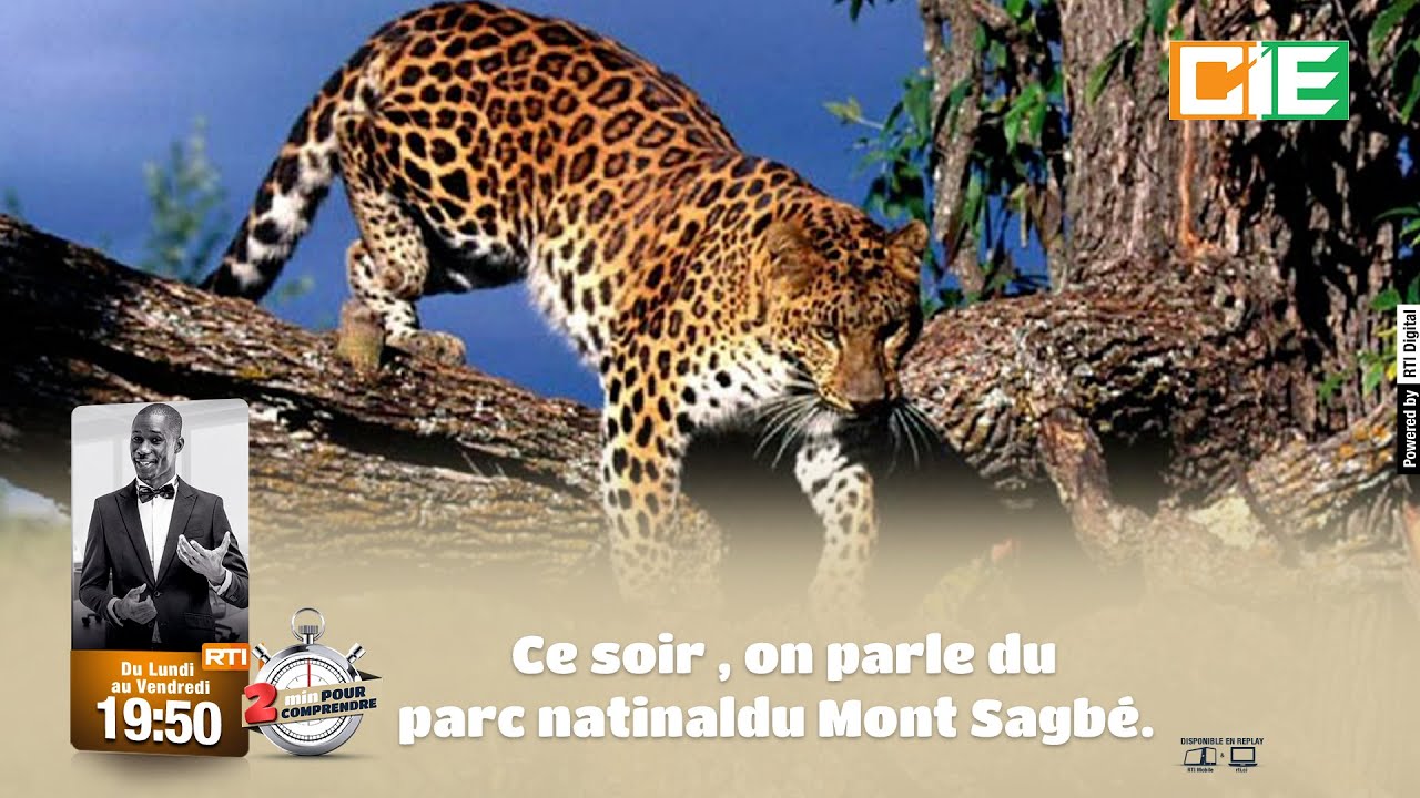 2mn pour comprendre du 09 septembre 2021