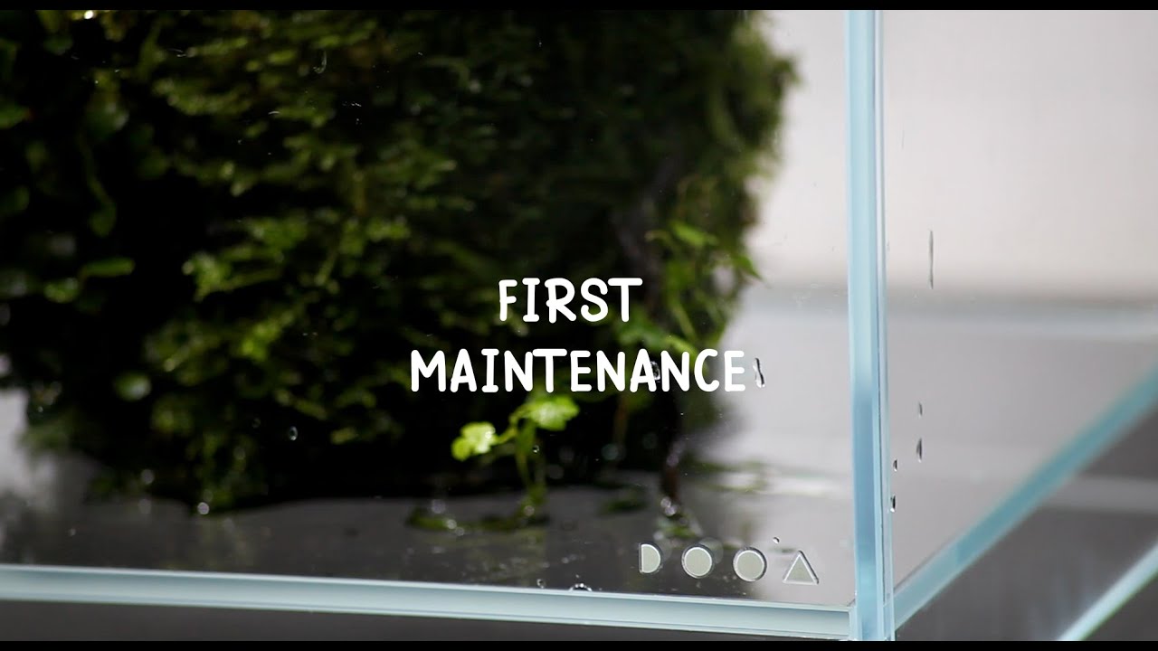 First maintenance of the DOOA terra base