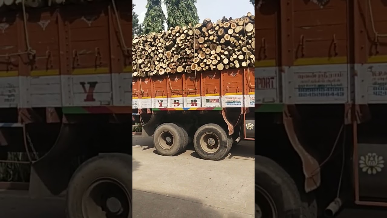 Mixed Fire Wood | Available on IndiaMART