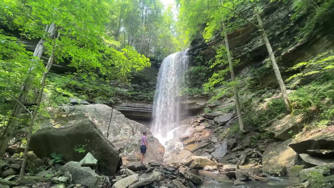 Saturday walk at Savage Gulf.