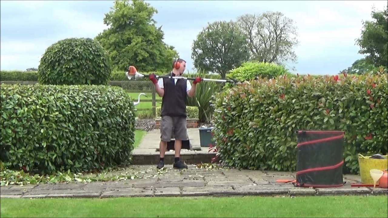 Double Hedge Cutting