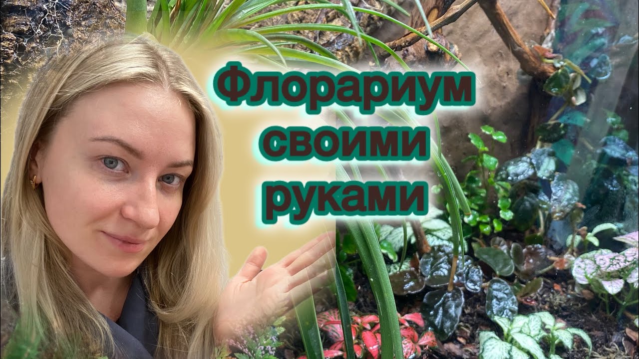 Флорариум своими руками из аквариума