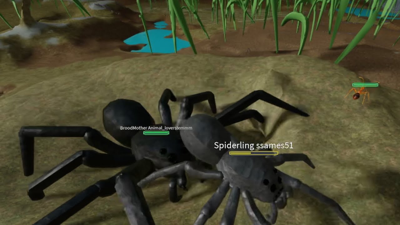 Ant life Video (Wiping YCA attempt)