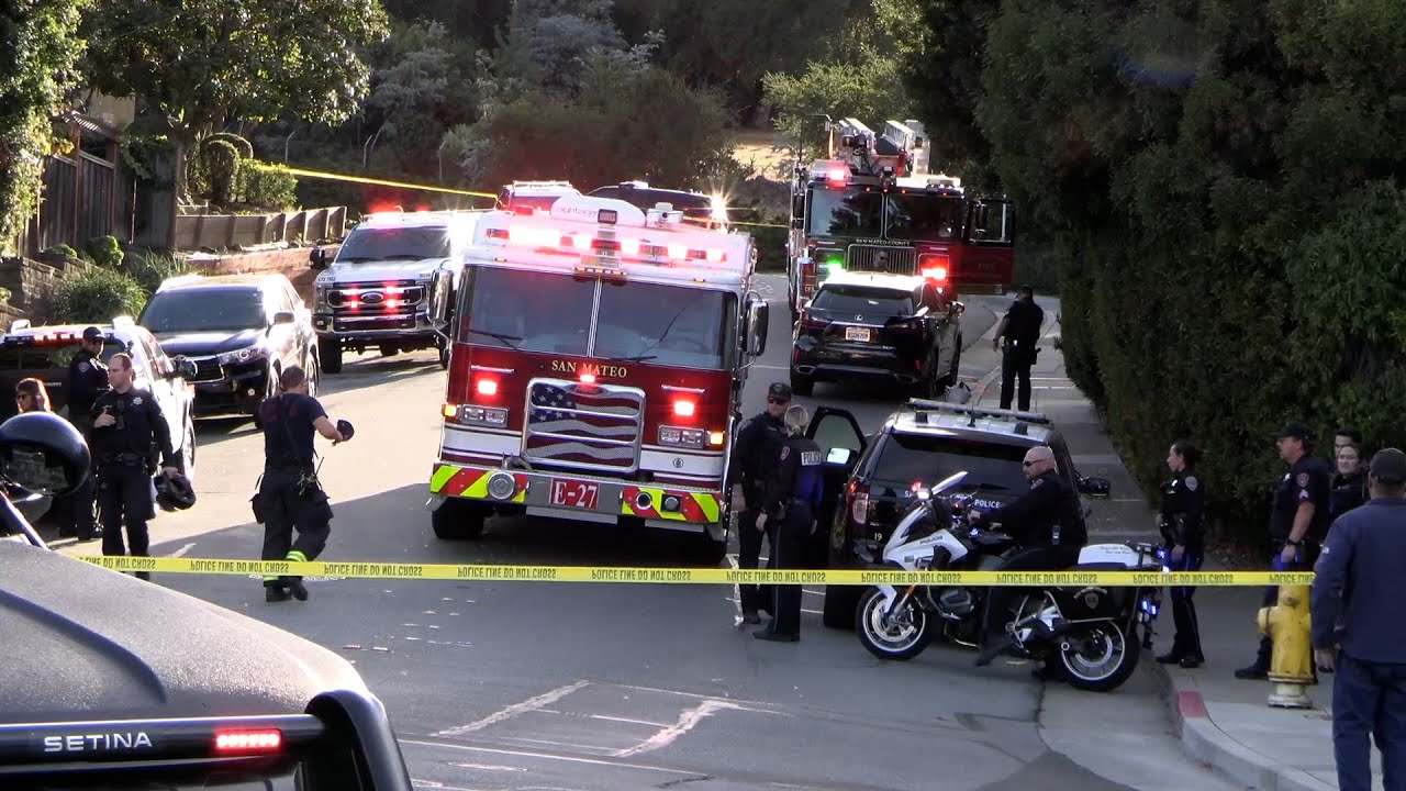 Pedestrian and Dog Hit By Car in San Mateo