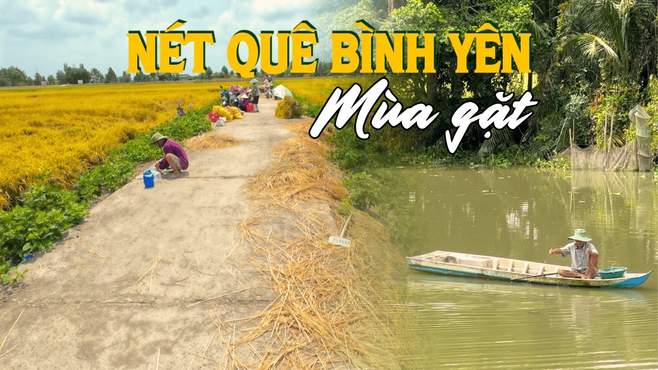 Ký ức miền Tây: Bình dị cảnh quê ăn cơm trên ruộng, ông cụ giăng lưới, gánh hàng rong bán bánh