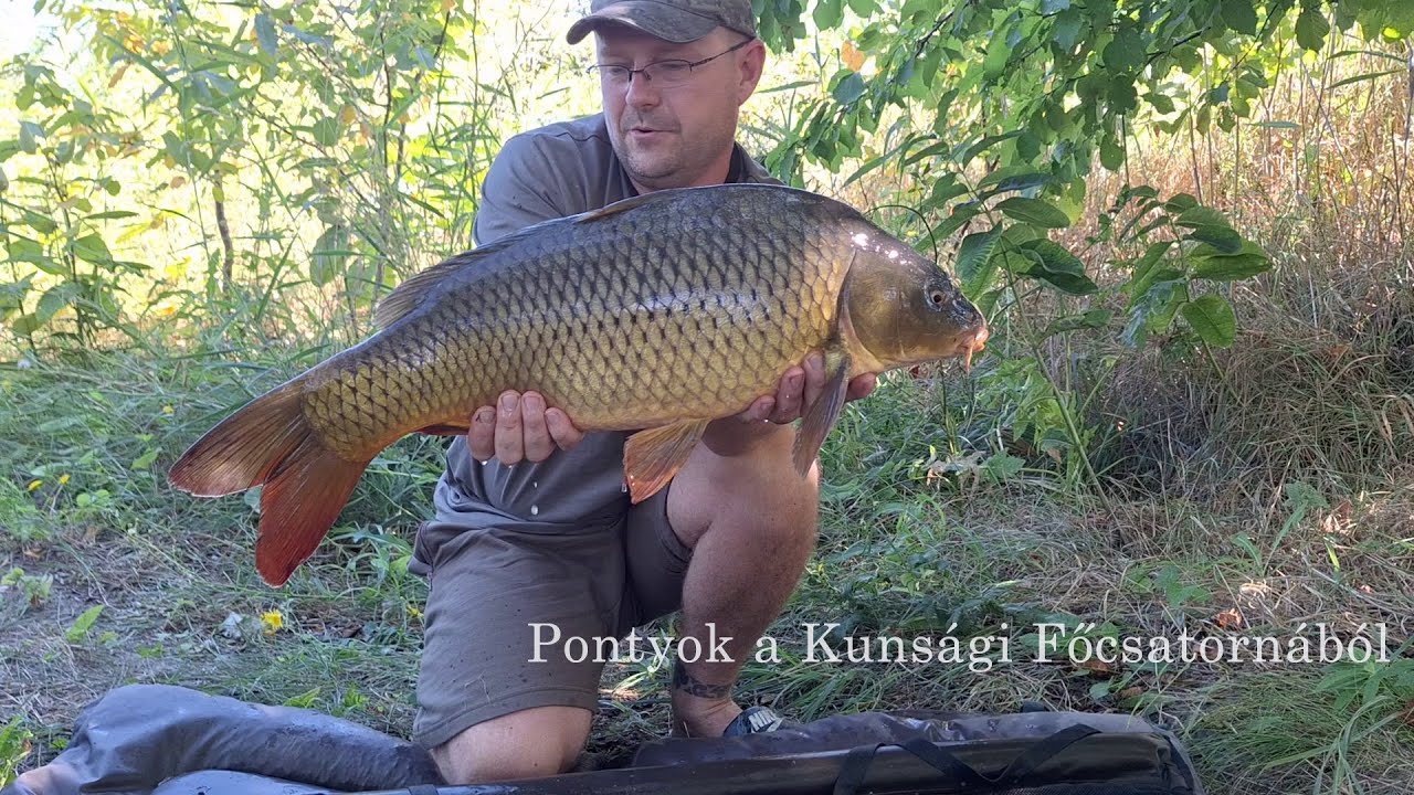 Pontyok a Kiskunsági öntöző Főcsatornából