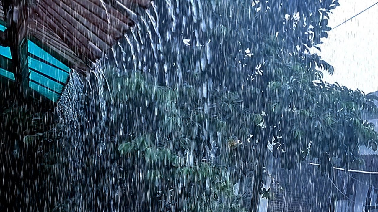 Rain and Thunder Sounds for Sleeping 🌧️ Deep Sleep, Stress Relief & Relaxation