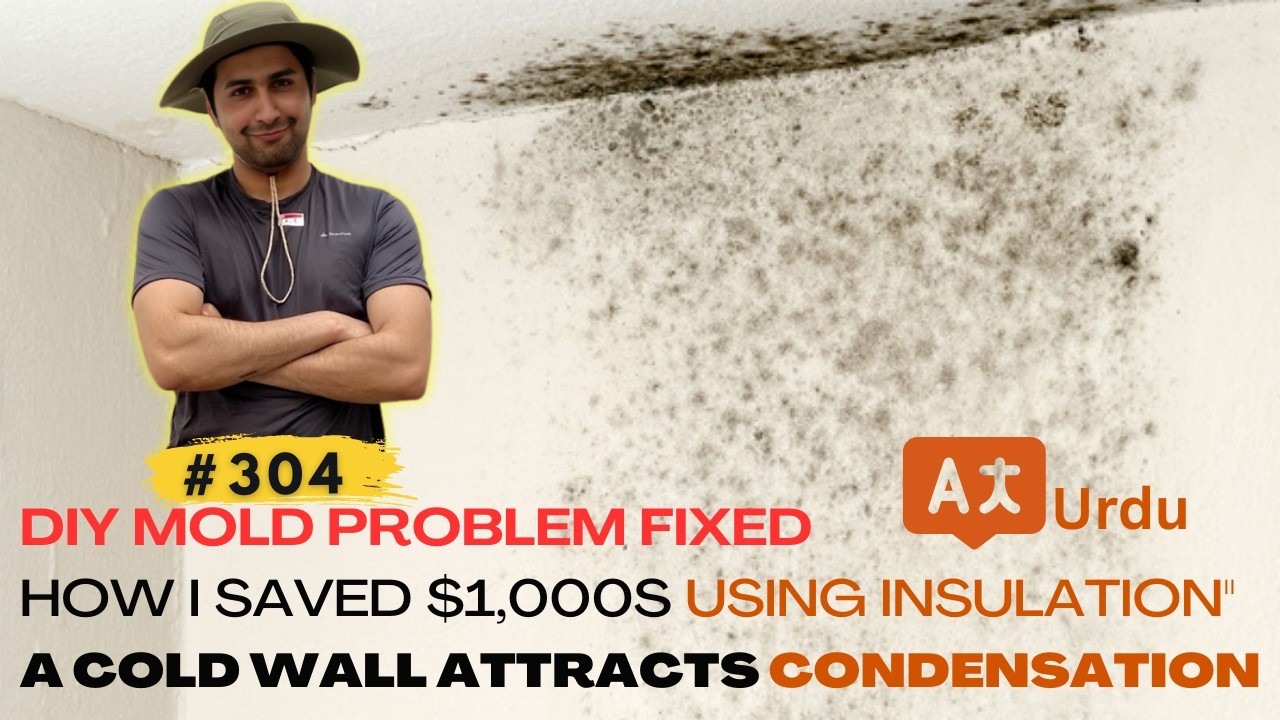304 How to Fix Condensation and Mold on Cold Walls - Stop Mold Growth on External Walls Step-by-Step