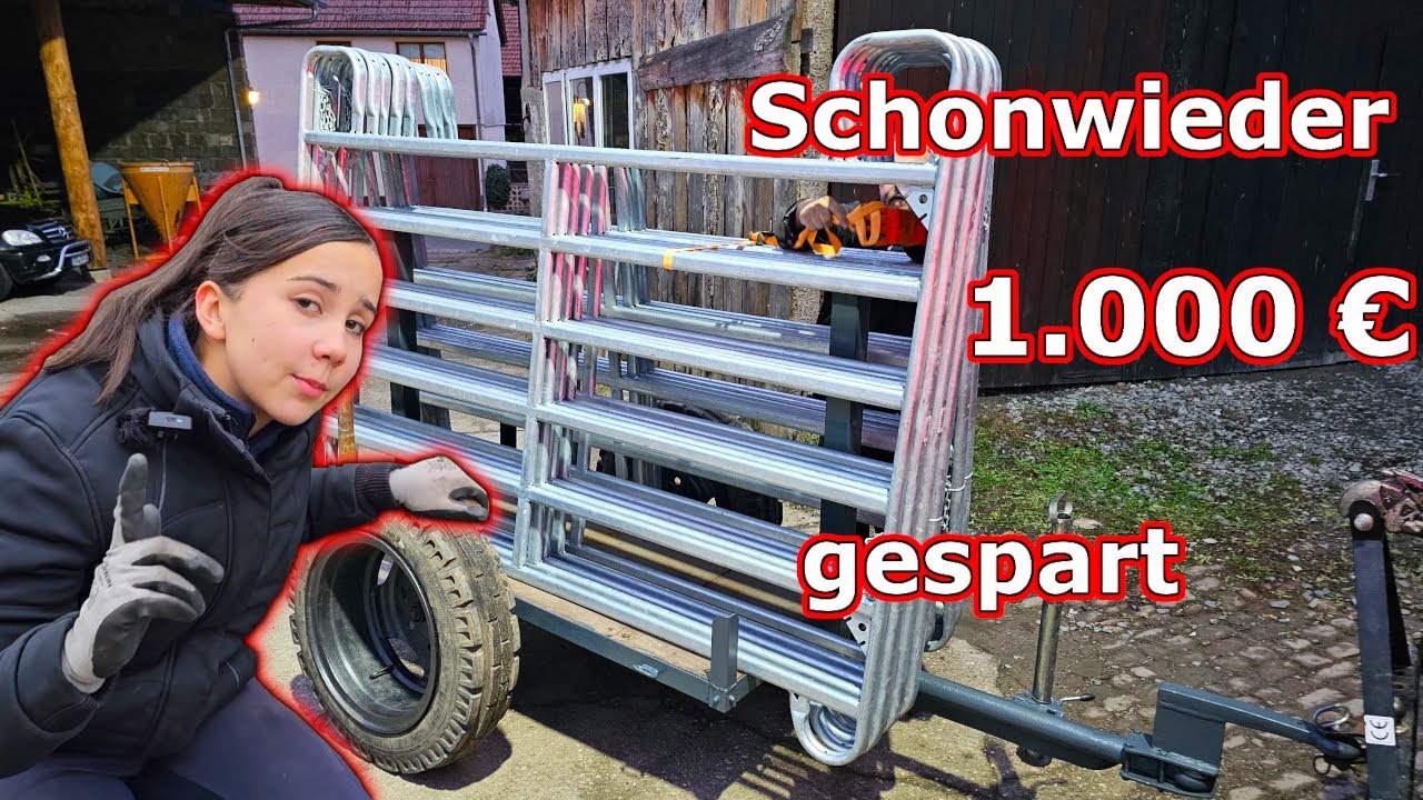 Eigenbau Anhänger spart Zeit, Geld und Nerven