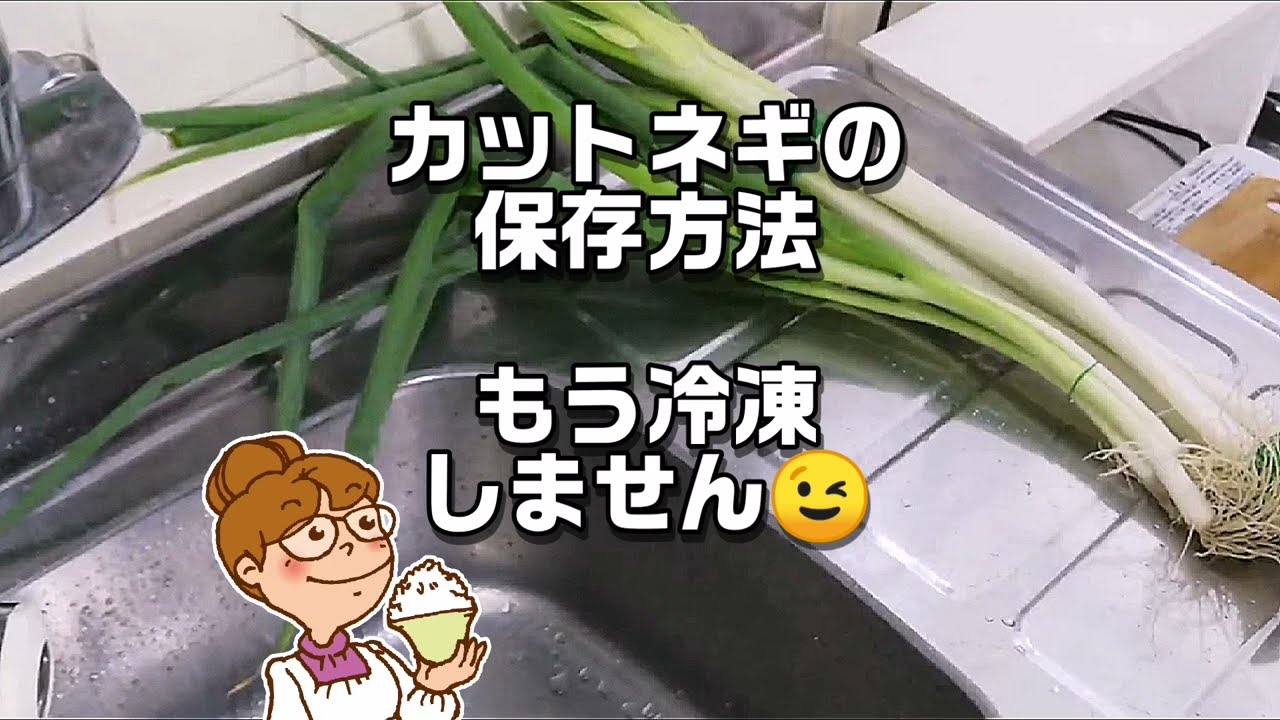 もう冷凍しません☹️カットネギの保存方法 how to store green onions
