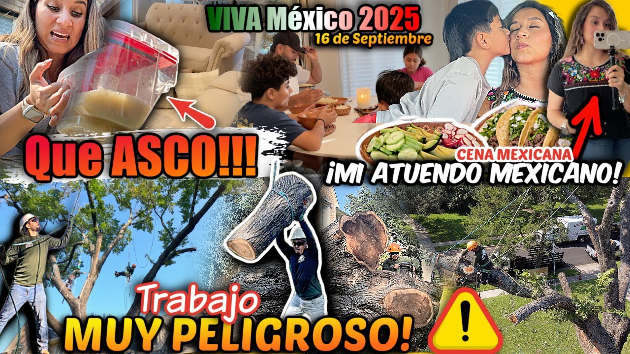 As&iacute; trabajamos los LATINOS en USA🇺🇸😱 &iexcl;No creer&aacute;s lo que sali&oacute; de mis sillones!+Celebrando Nuestro🇲🇽