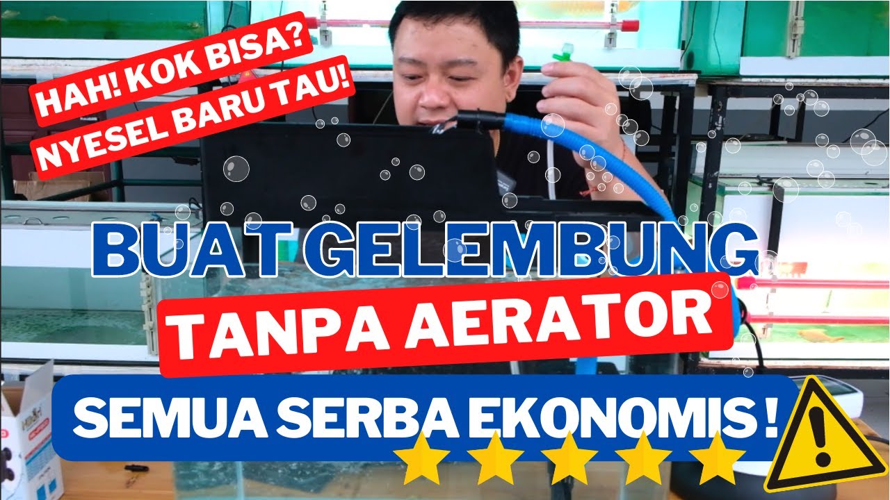 ASTAGA SELAMA INI BARU TAU CARA MEMBUAT GELEMBUNG UDARA TANPA AERATOR DI POMPA FILTER AIR