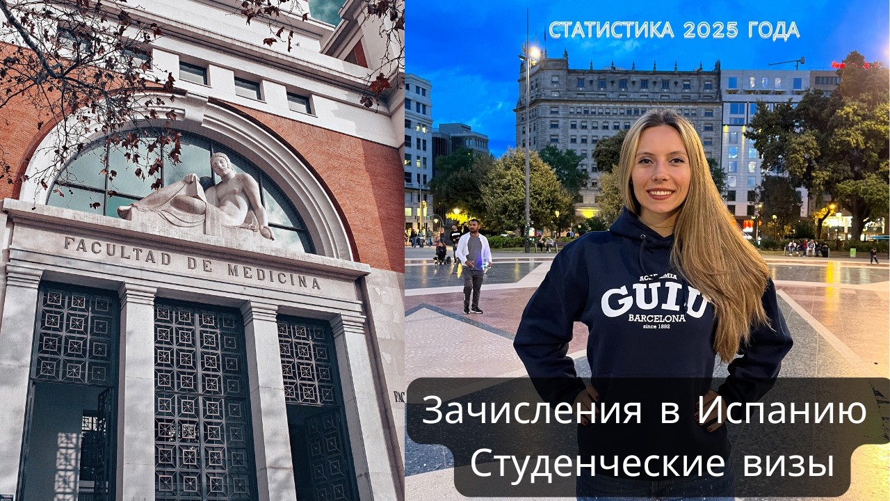 Ситуация с поступлением в Испанию 2025 год, статистика. Визы в Испанию для студентов