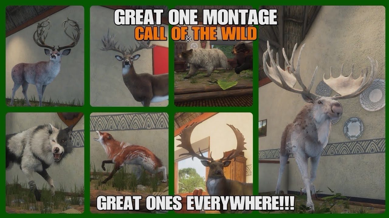 Great One Montage!