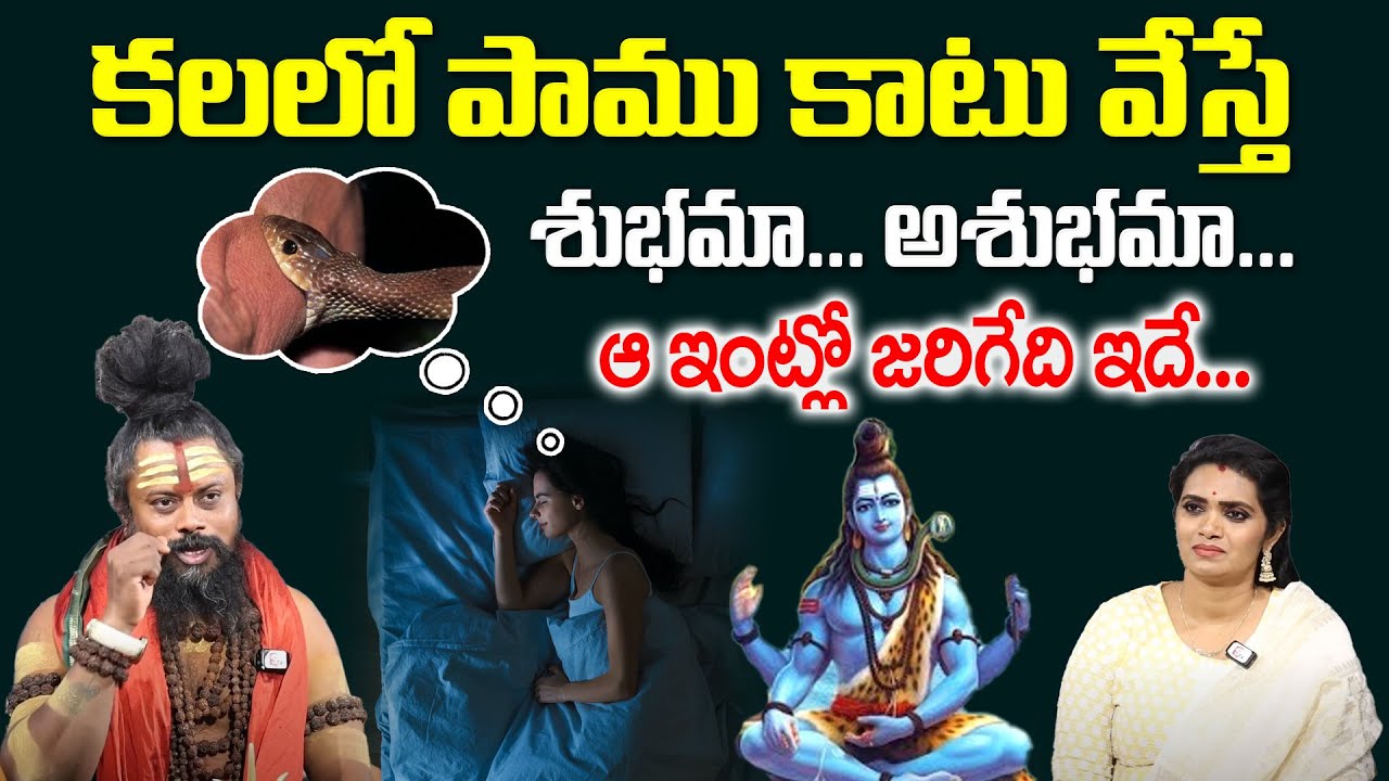Shiva Rudra Saduvu About Snakes In Dream - కలలో పాము కాటు వేస్తే శుభమా... అశుభమా... | @sumantvom