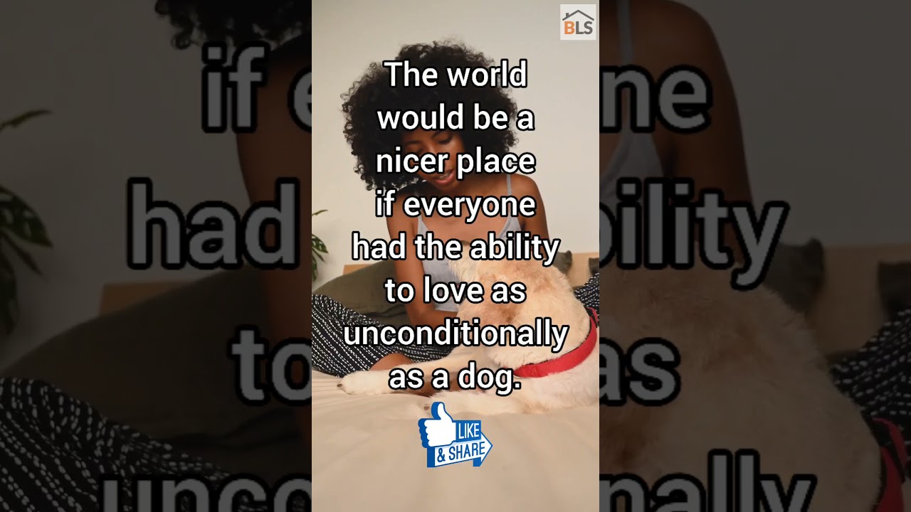 3 Quotes That Every Dog Lover Can Relate To - This Made Me Cry ꞁ Dog Lovers Can Relate #shorts 🐾🐾🐾