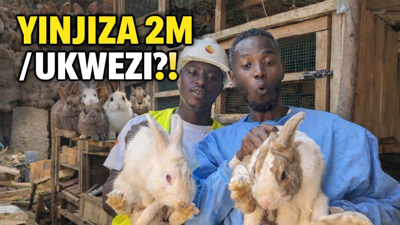 Arangije Kaminuza Yanze Akazi ka Leta — Ahera Ku Nkwavu 4 Agera Ku 400! 😱UBU ni UMUKIRE CYANE