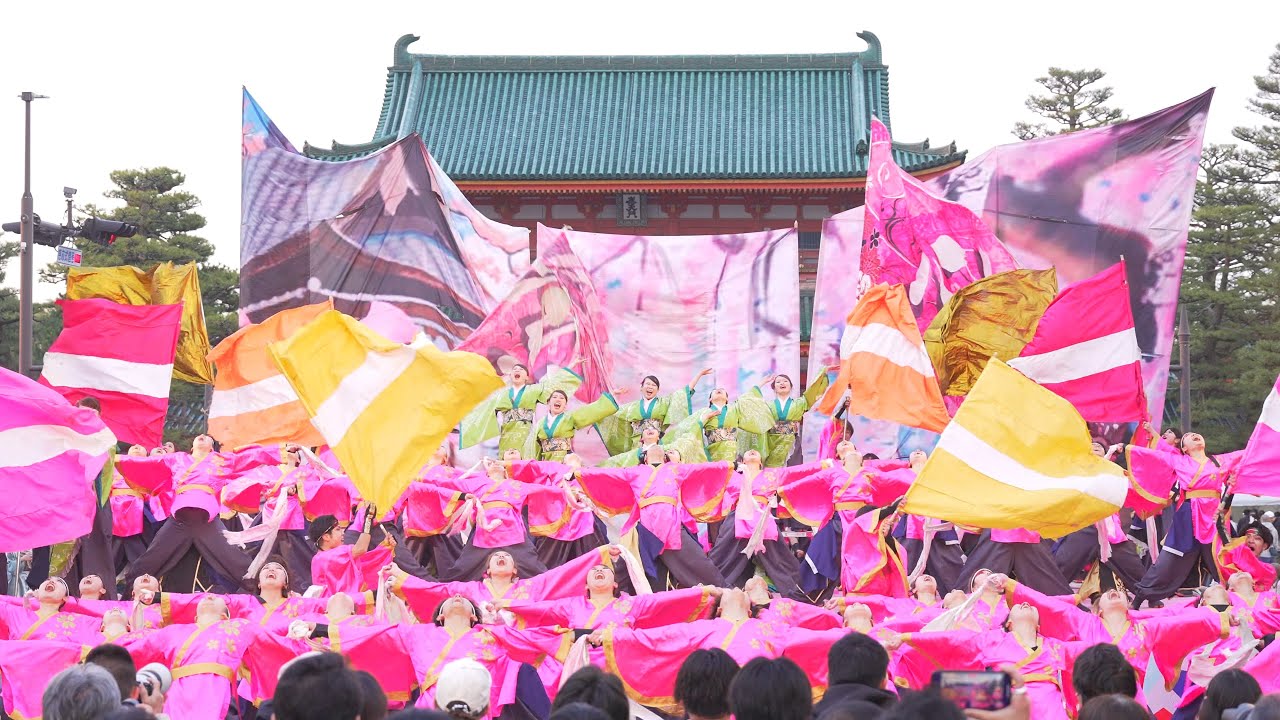 [4K] 京都よさこい連 心粋 【最終審査演舞】　京都さくらよさこい 2025 さくよさ 日曜日 神宮道会場