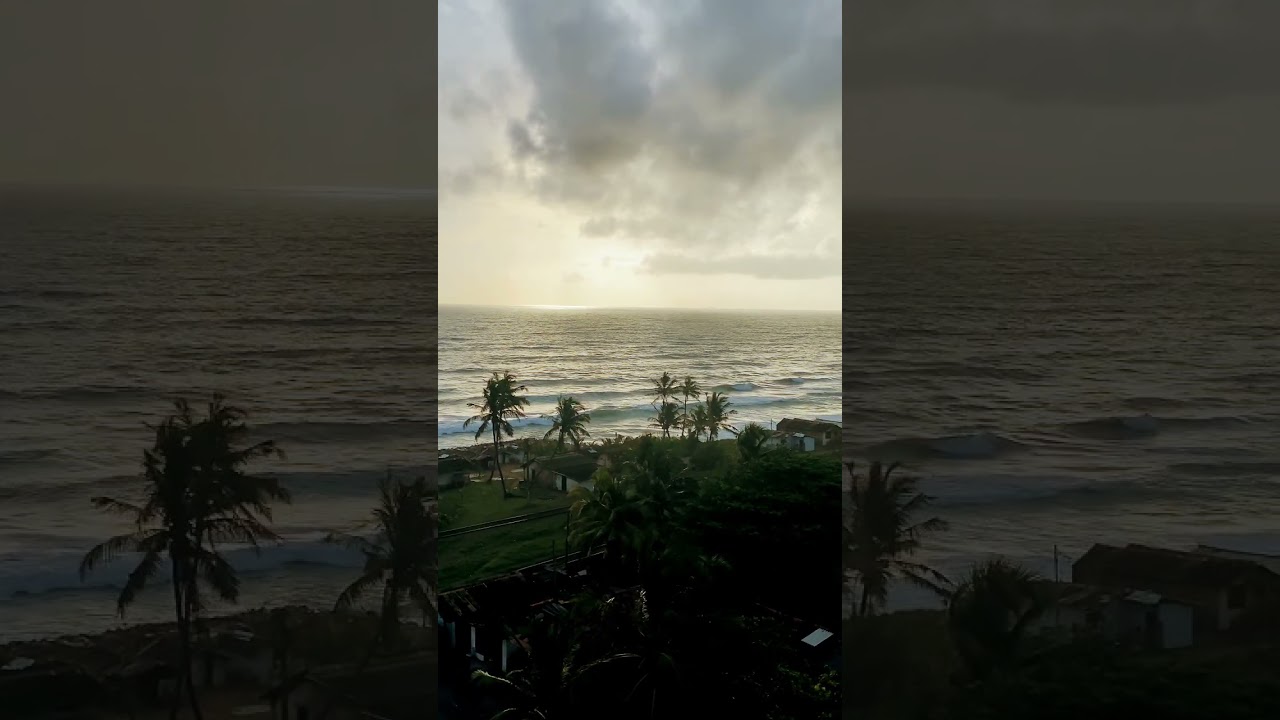 Relaxing Nature View &ndash; Watch This If You Love Peace 🌲