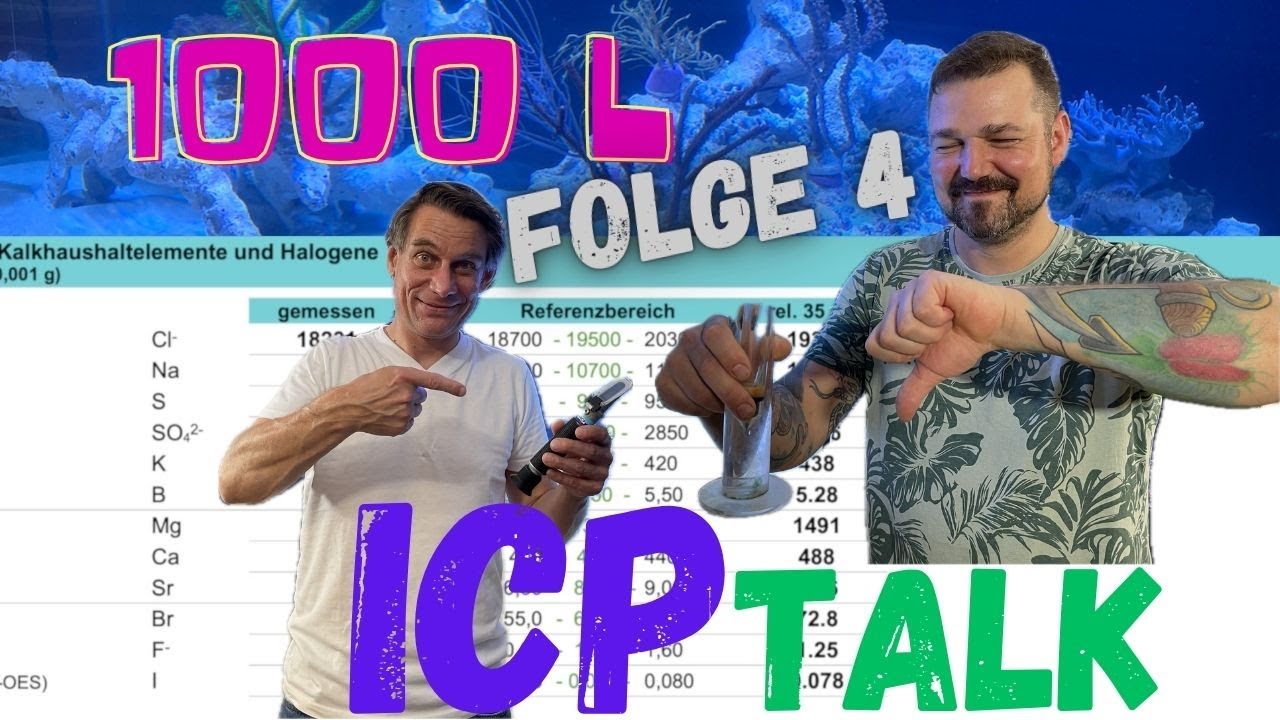 1000 L Shallow Mixed Reef Beckenstart - Folge 4: Ist Kais Wasser okay?